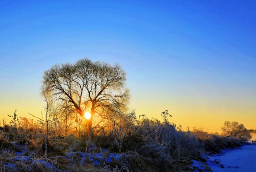 微信圖片_20191226145945 微信圖片_20191226145945