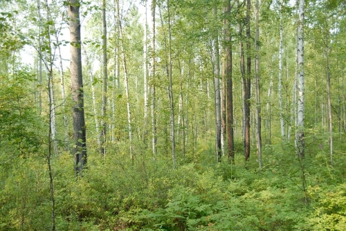 微信圖片_20230409181018