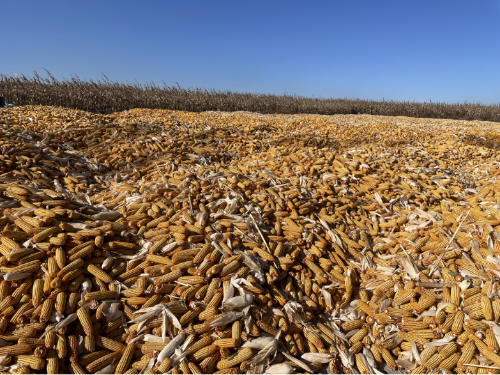 微信圖片_20231030075311