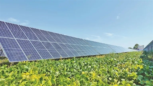 微信圖片_20231101204300