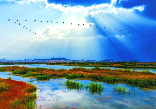 微信圖片_20231228211712