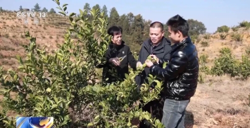 微信圖片_20231230185234