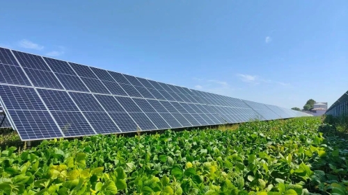 微信圖片_20240110181758